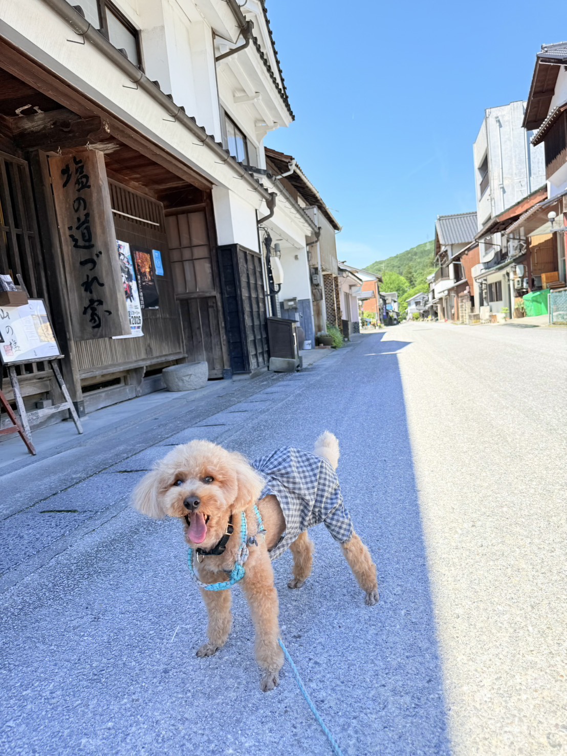ライチくんの写真